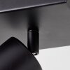 Applique murale Brilliant Jello LED Noir, 1 lumière