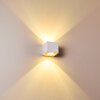 Applique murale d'extérieur Jonava LED Blanc, 2 lumières