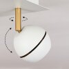Plafonnier  Tome LED Laiton, Blanc, 4 lumières