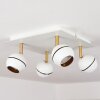 Plafonnier  Tome LED Laiton, Blanc, 4 lumières
