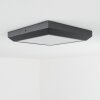 plafonnier extérieur  Alkmaar LED Anthracite, 1 lumière