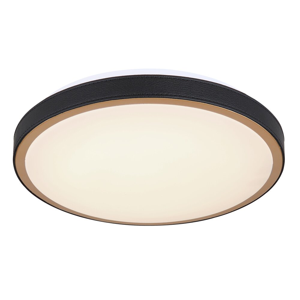 Plafonnier Globo SAMMI LED Laiton, Noir, Blanc, 1 lumière main product photo