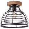 Plafonnier Brilliant Avia Noir, 1 lumière