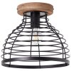Plafonnier Brilliant Avia Noir, 1 lumière