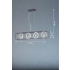 Suspension Fischer & Honsel Gisi LED Noir, 4 lumières, Télécommandes