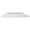 Plafonnier Brilliant Malgas LED Blanc, 1 lumière, Télécommandes