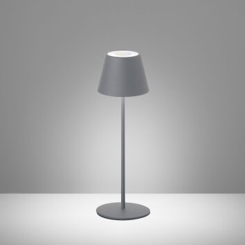 Lampe à poser FHL easy Cosenza LED Gris, 1 lumière, Changeur de couleurs