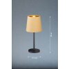 Lampe de table FHL easy Palina Noir, 1 lumière