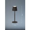 Lampe de table FHL easy Tropea LED Noir, 1 lumière