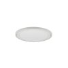 Plafonnier Reality Carus LED Blanc, 2 lumières