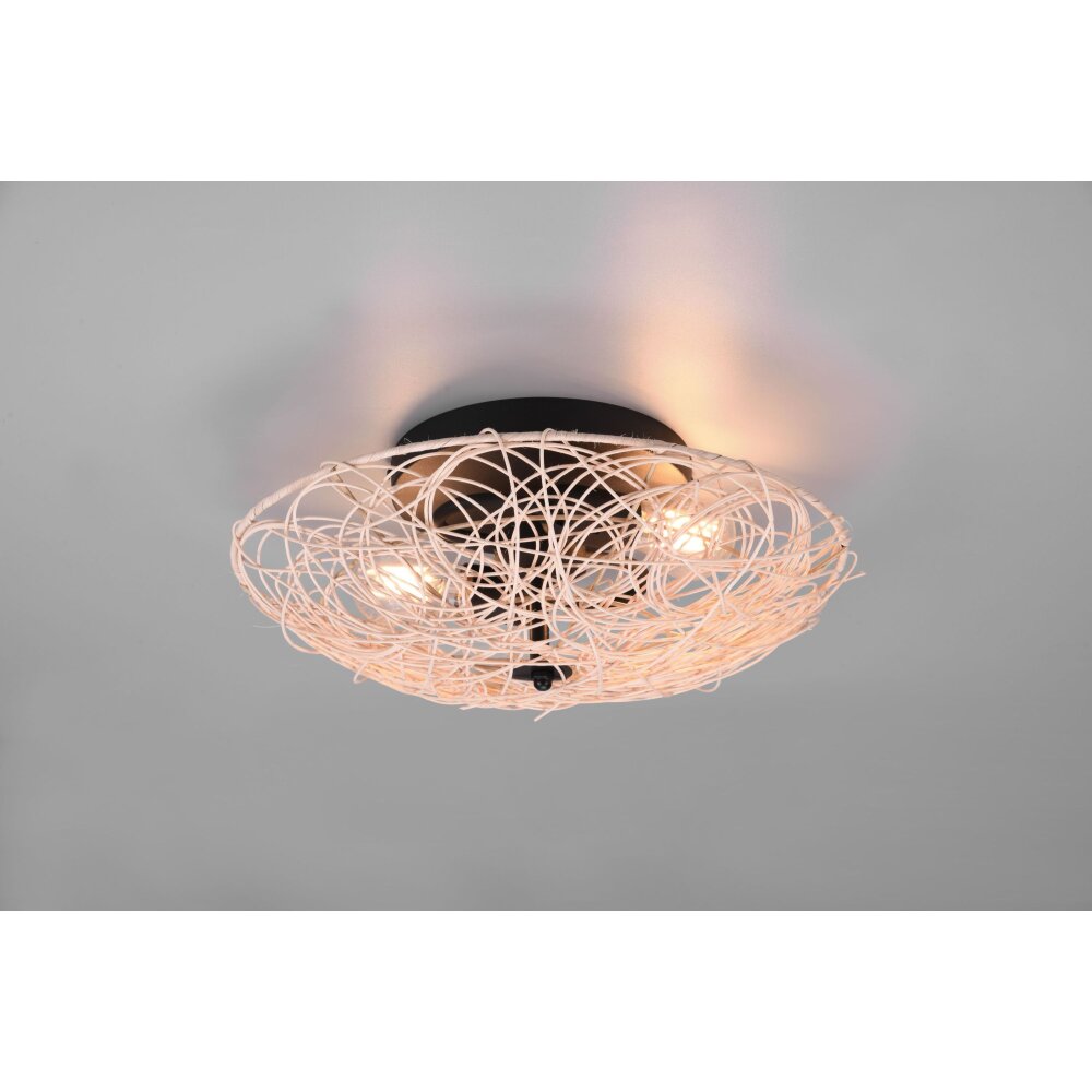 Plafonnier Reality Lovis Noir, 2 lumières main product photo