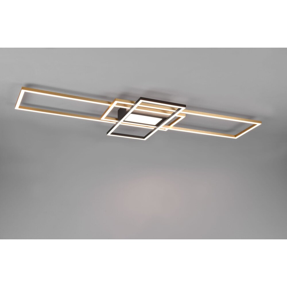 Plafonnier Trio Irvine LED Laiton, Noir, 1 lumière, Télécommandes main product photo