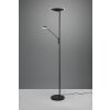 Lampadaire à vasque Trio Brantford LED Noir, 1 lumière