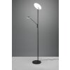 Lampadaire à vasque Trio Brantford LED Noir, 1 lumière