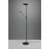 Lampadaire à vasque Trio Brantford LED Noir, 1 lumière