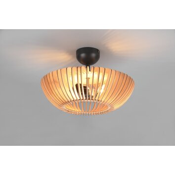 Plafonnier Trio Colino Anthracite, 2 lumières