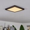 Plafonnier  Canditas LED Noir, 1 lumière