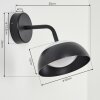 Applique murale d'extérieur  Ancemont LED Noir, 1 lumière