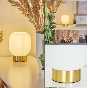 Lampe de table  Pintacura Laiton, 1 lumière