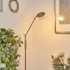 Lampadaire  Huallilemu LED Nickel mat, 1 lumière