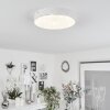 Plafonnier  Mentque LED Blanc, 1 lumière