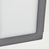 Applique murale d'extérieur  Apidou LED Anthracite, 1 lumière