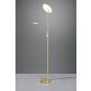 Lampadaire à vasque Trio Brantford LED Laiton, 1 lumière