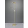 Lampadaire à vasque Trio Brantford LED Laiton, 1 lumière