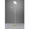 Lampadaire à vasque Trio Brantford LED Laiton, 1 lumière