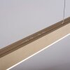 Suspension Paul Neuhaus PURE-MOTO LED Laiton, 3 lumières, Télécommandes