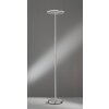 Lampadaire à vasque Fischer & Honsel Dent LED Nickel mat, 1 lumière
