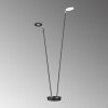 Lampadaire Fischer & Honsel Dent LED Noir, 2 lumières