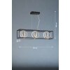 Suspension Fischer & Honsel Gisi LED Noir, 3 lumières, Télécommandes
