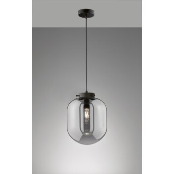 Suspension Fischer & Honsel Regi Noir, 1 lumière