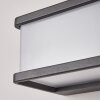 applique solaire  Burseryd LED Anthracite, 1 lumière, Détecteur de mouvement