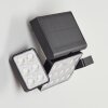 applique solaire  Estampes LED Anthracite, 1 lumière, Détecteur de mouvement