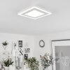 Plafonnier  Audrieu LED Blanc, 2 lumières