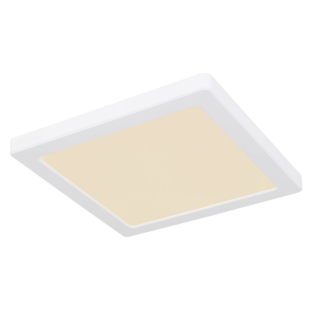 Plafonnier Globo LASSE LED Blanc, 1 lumière main product photo