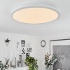 Plafonnier  Sani LED Blanc, 1 lumière, Télécommandes, Changeur de couleurs