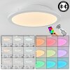 Plafonnier  Sani LED Blanc, 1 lumière, Télécommandes, Changeur de couleurs