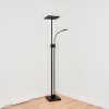 Lampadaire à vasque  Janze LED Noir, 2 lumières