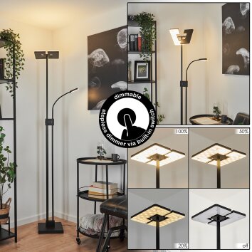 Lampadaire à vasque  Janze LED Noir, 2 lumières