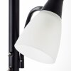 Lampadaire Brilliant Lucy LED Noir, 2 lumières