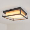 plafonnier extérieur  Nonza LED Anthracite, 1 lumière