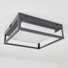 plafonnier extérieur  Nonza LED Anthracite, 1 lumière