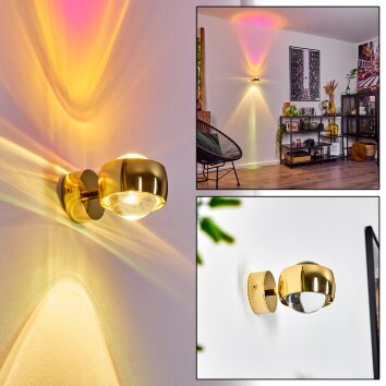 Applique murale  Sapri Or, 1 lumière Applique murale  Sapri Or, 1 lumière