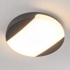 plafonnier extérieur  Joserand LED Anthracite, 1 lumière