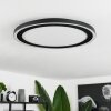 Plafonnier  Audrieu LED Noir, Blanc, 2 lumières