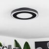 Plafonnier  Audrieu LED Noir, Blanc, 2 lumières