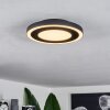 Plafonnier  Audrieu LED Noir, Blanc, 2 lumières